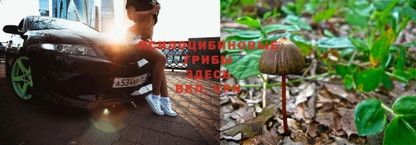 мяу мяу кристалл Нягань